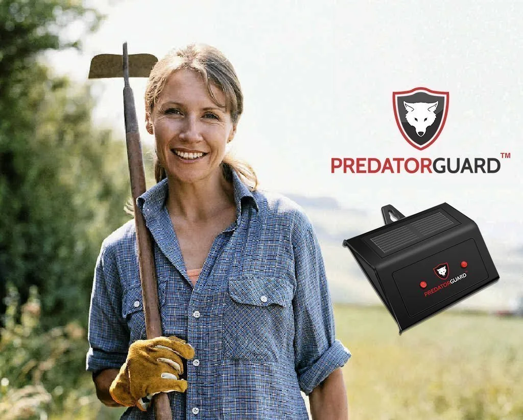 4 Pest Raccoon Pack Unique appearance Predator Solar Repellent Away, Powered - Animals Coyote Deer Devices, PREDATORGUARD Deterrent Accessories Scares Nocturnal Secure checkout Light Chicken Coop
