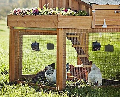 4 Pest Raccoon Pack Unique appearance Predator Solar Repellent Away, Powered - Animals Coyote Deer Devices, PREDATORGUARD Deterrent Accessories Scares Nocturnal Secure checkout Light Chicken Coop
