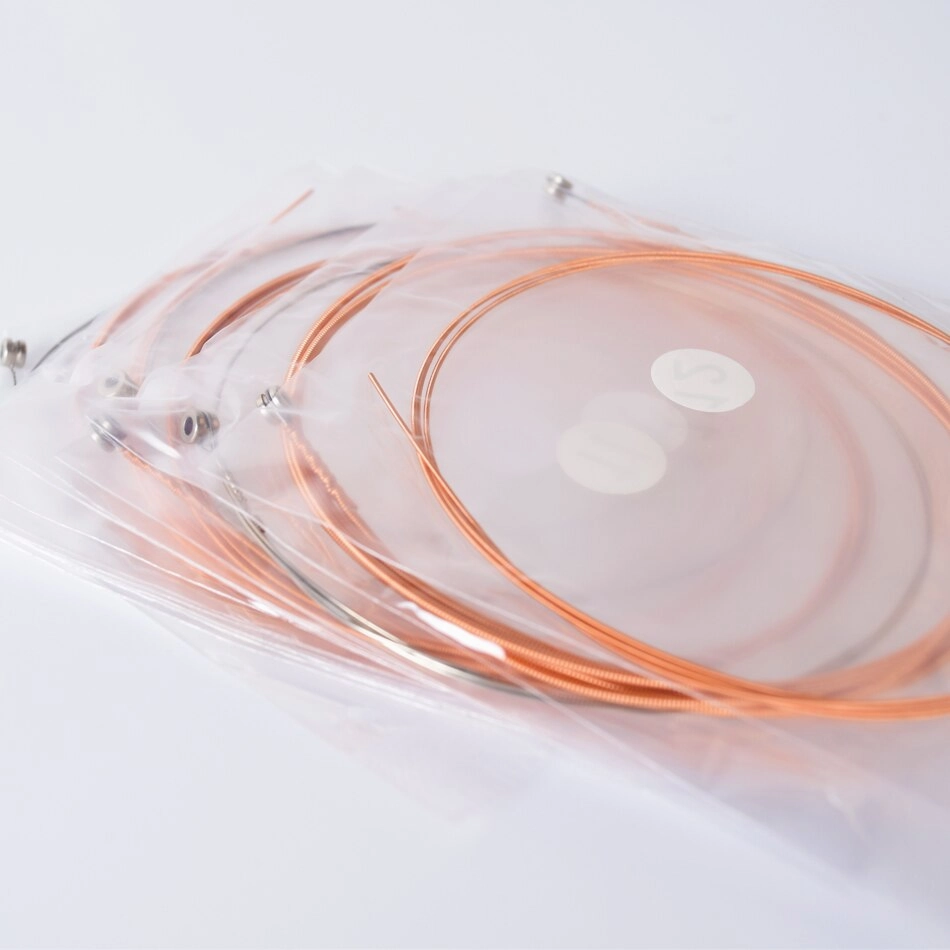 Alice A2012 12 Strings Acoustic Guitar Strings 010-026 Musical Instrument Guitar Parts Accessories 12 Guitarrra Strings 1 Set