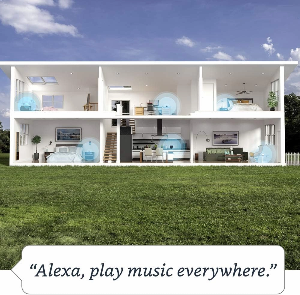 Amazon Echo (newest model), Alexa speaker with premium sound, Ideal for large bedrooms, living rooms and kitchens, Charcoal