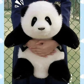 Cartoon Plush Electric Hotwater Bag