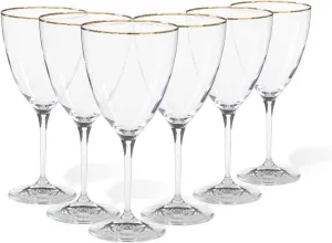Casafina Glassware 14 oz. Set of 6 Drinking Water Glasses - Sensa Collection, Golden Rim | Microwave & Dishwasher Safe Dinnerware | Food Safe Glazing | Restaurant Quality Drinkware
