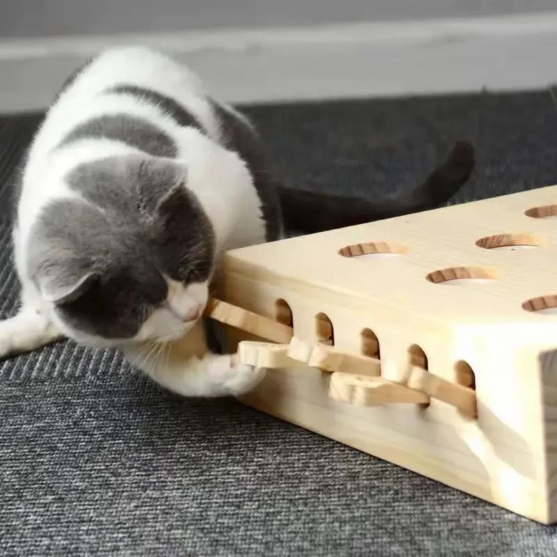Cat Toy - Interactive Cat Maze Toy - Wooden Puzzle