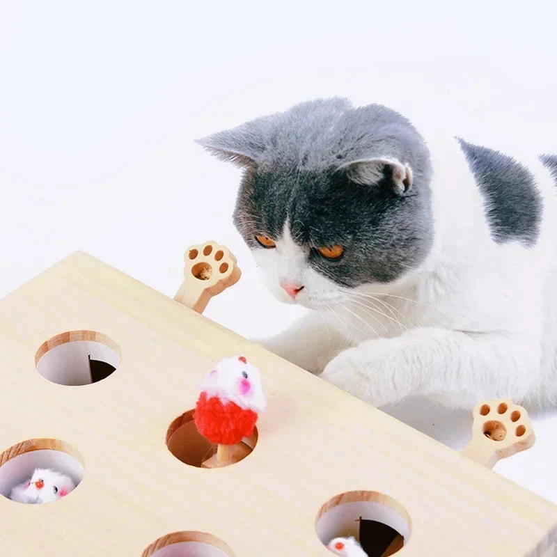 Cat Toy - Interactive Cat Maze Toy - Wooden Puzzle