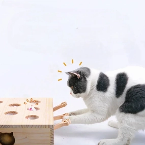 Cat Toy - Interactive Cat Maze Toy - Wooden Puzzle