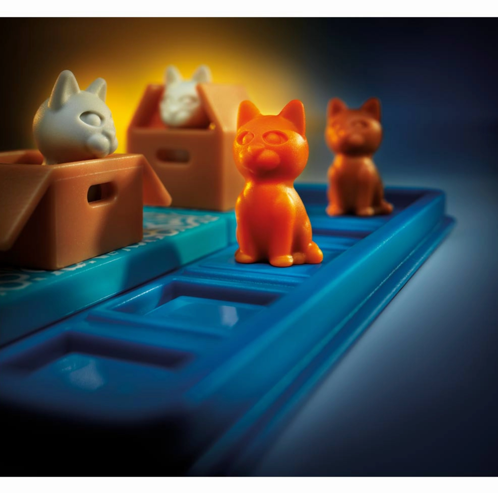 Cats & Boxes Puzzle Game
