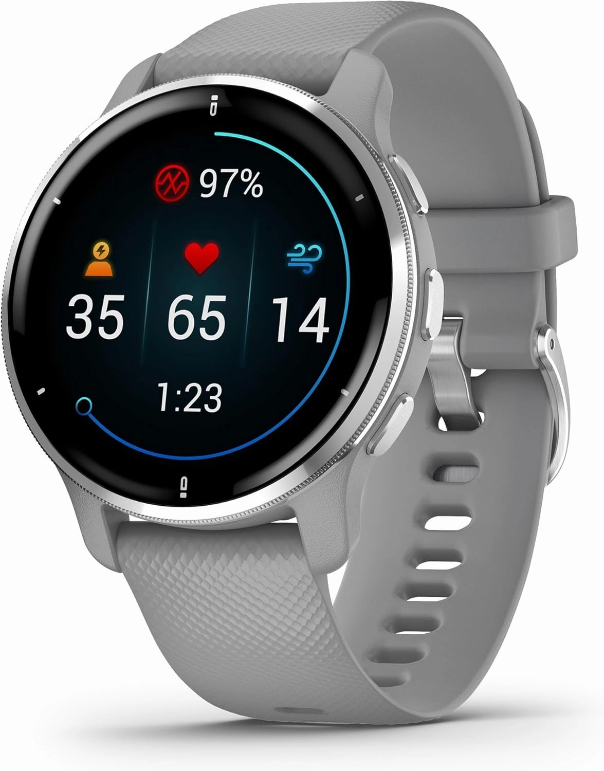 Garmin Venu 2 Plus, GPS Smartwatch with Call and Text, Advanced Health Monitoring and Fitness Features, Silver with Gray Band