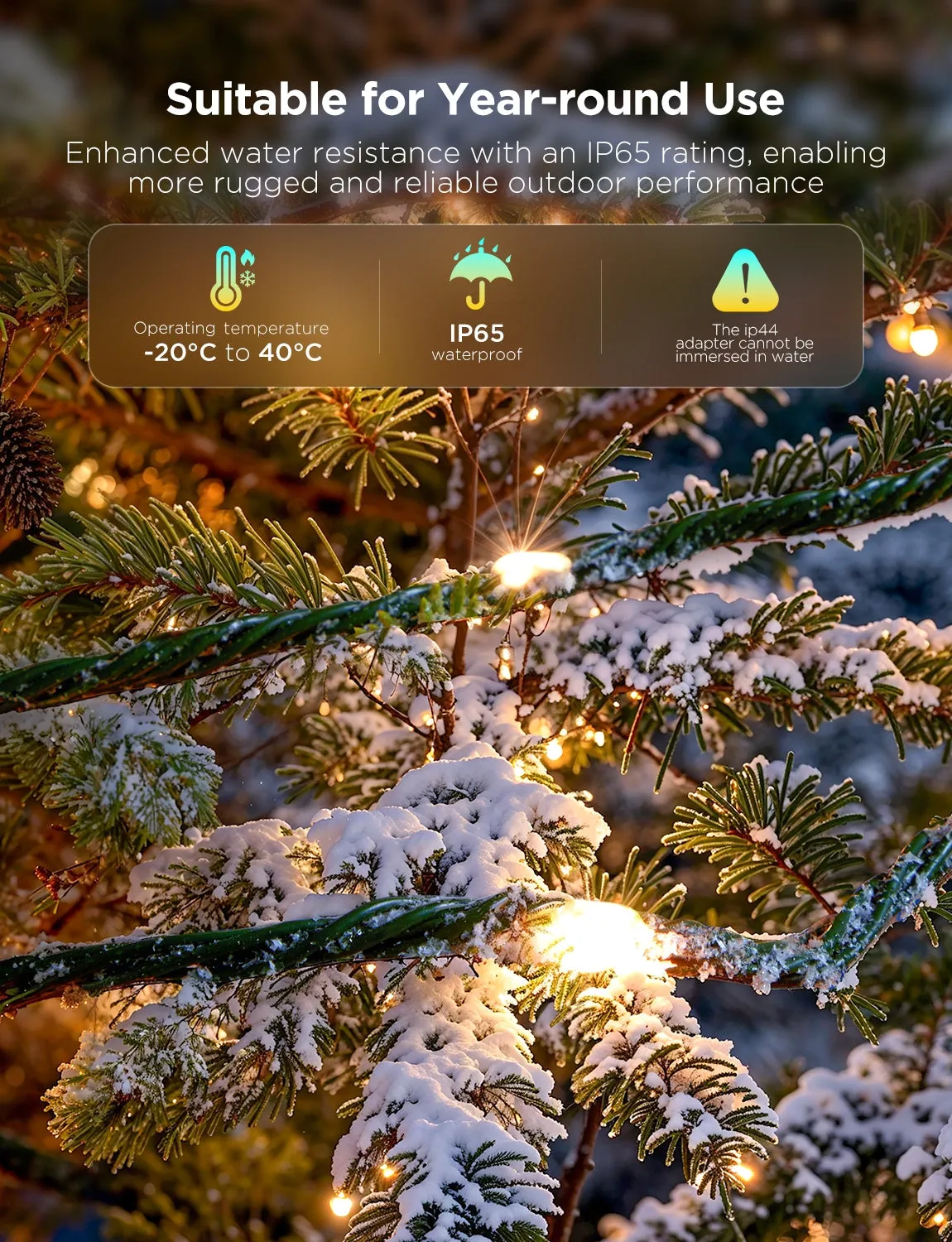 Govee Christmas String Lights 2