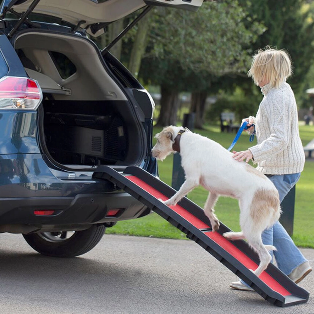 HENRY WAG LIGHTWEIGHT FOLDING PET RAMP
