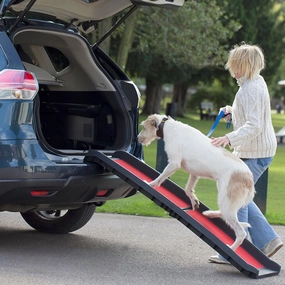 HENRY WAG LIGHTWEIGHT FOLDING PET RAMP