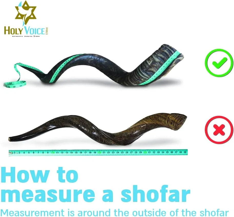 Holy Voice Kosher Kudu Shofar Horn from Israel – Traditional Half-Polished Yemenite Shofar Includes Carrying Bag, Brush and Blowing Guide - Easy Blowing Ancient Musical Instrument (28"-32")
