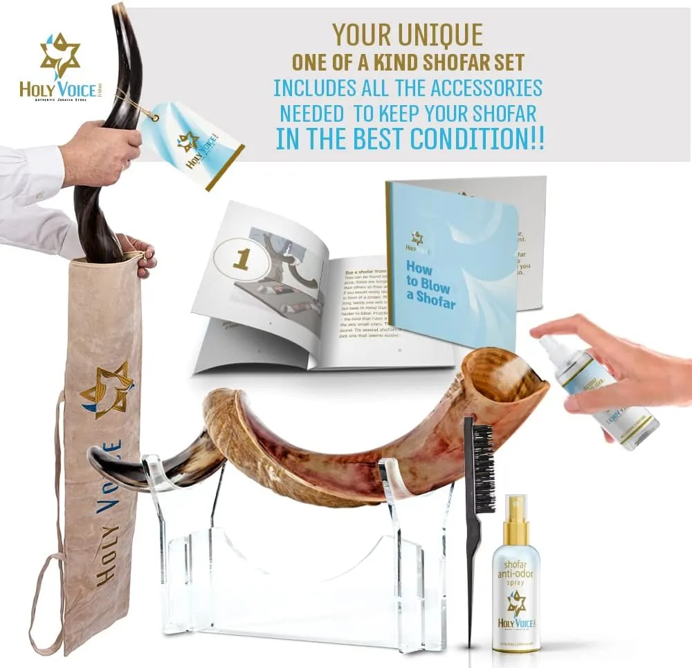 Holy Voice Kosher Kudu Shofar Horn from Israel – Traditional Half-Polished Yemenite Shofar Includes Carrying Bag, Brush and Blowing Guide - Easy Blowing Ancient Musical Instrument (28"-32")