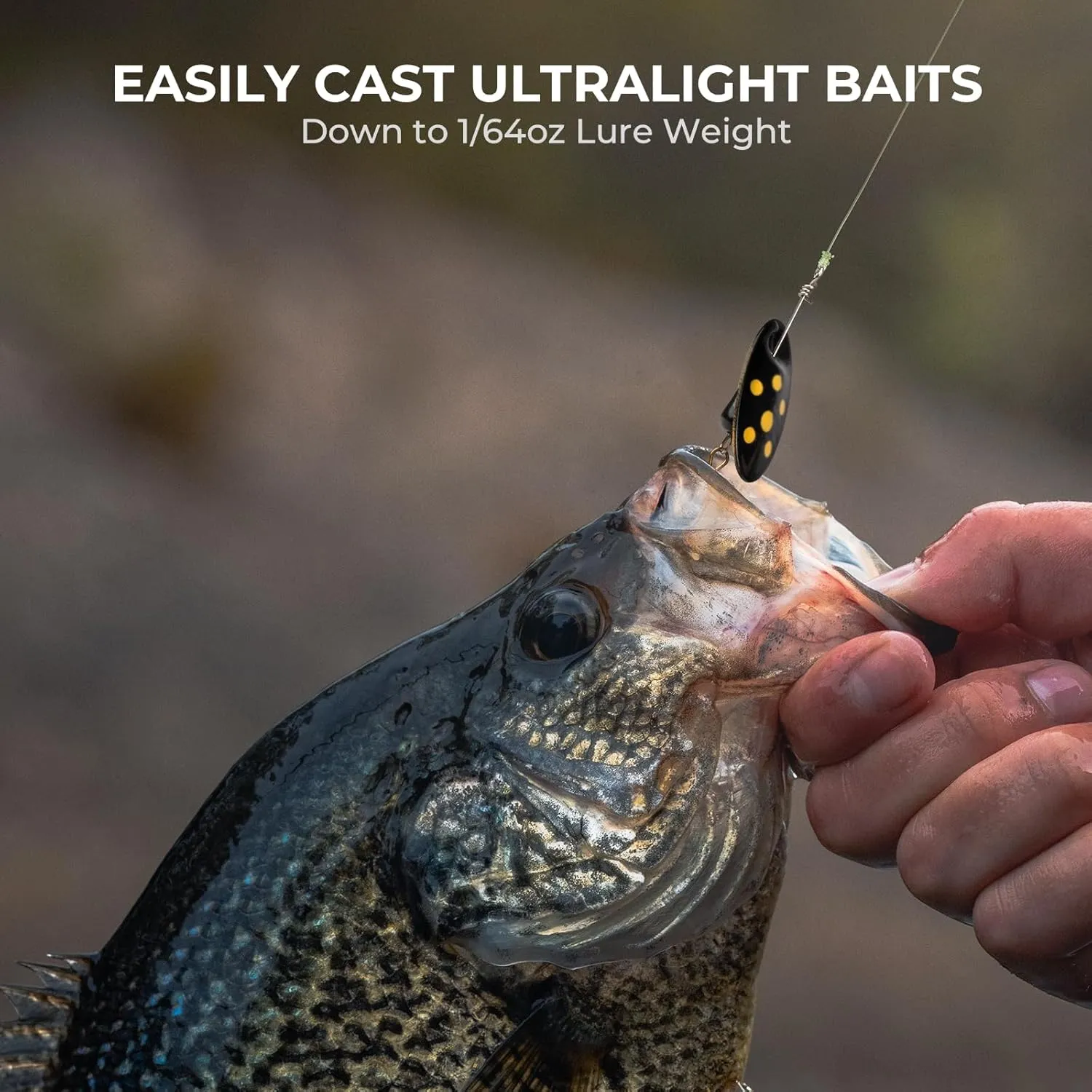 KastKing Zephyr Spin and Bait Finesse Fishing Rod, Lightweight Casting & Spinning Rods, IM6 Graphite Blanks, Cast Lure Down to 1/64oz, Zirconia Ring, Split Reel Seat, EVA Handle, Alignment Marker