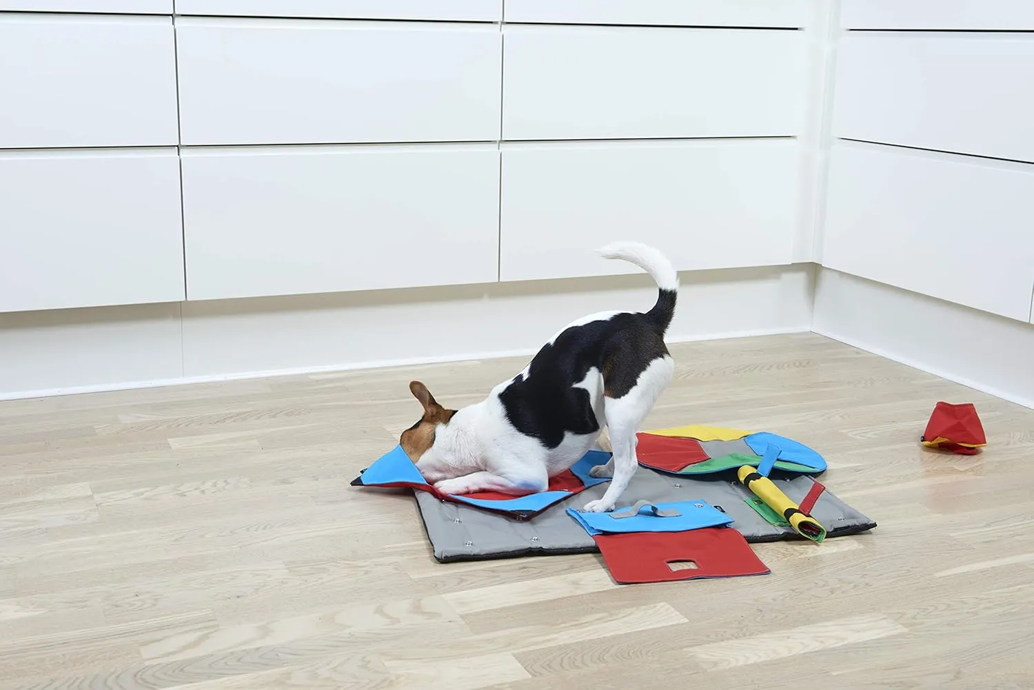 Kruuse Task for Buster Activity Mat, Purse with One Pocket