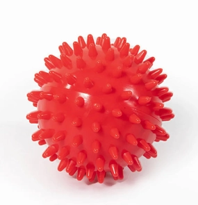 Large Bouncy Ball for Dogs with Massage Features