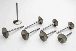 Manley Performance Manley Small Block Chevy 2.020 Dia Race Master Intake Valves (Set of 8)
