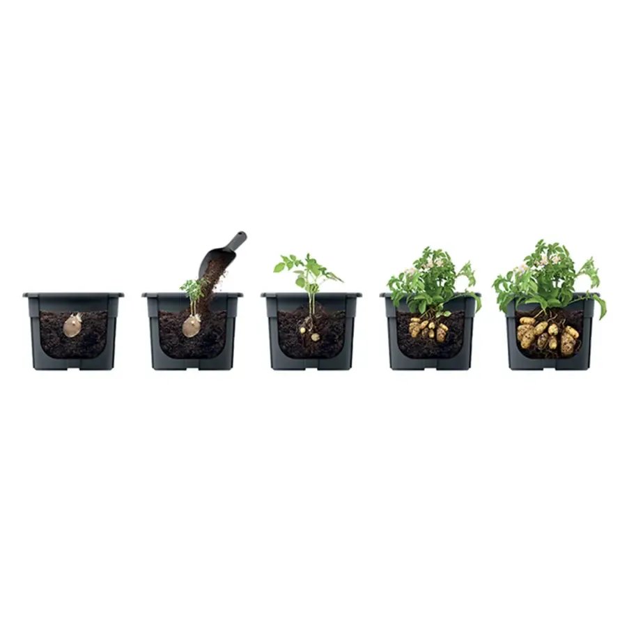 Maze Potato Grower Planter 400