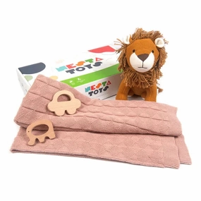 New Born Gift Set - Blanket, Lion Plush Toy & Wooden Teethers (0 Month - 7 Years)