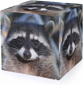 Northern Raccoon's Face Funny 3x3x3 Cube Smooth Lightweight Puzzle for Adult Graphic Printing Travel