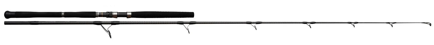 NS Black Hole BOCA-S Spin Rod
