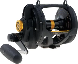 PENN Squall II Lever Drag 2 Speed Conventional Fishing Reel