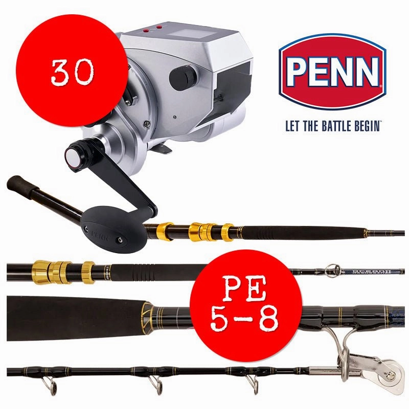 Penn Fathom Electric Reel 30 and Penn Assassin PE 5-8 Game Rod Bundle