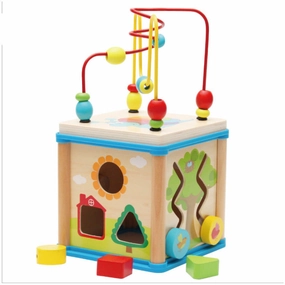 Penta Baby Activity Cube