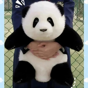 Plush Lifelike Panda Electric Heating Bag
