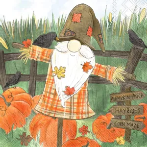 Scarecrow Gnome Party Cocktail Napkins - 40 Count | 2 Packages of 20CT | Pumpkin Patch, Crows, and Corn Maze Design | 5x5-inch Folded Size | 3-Ply, Non-Toxic, Water-Soluble Dyes | Printed in Germany