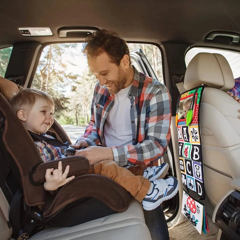 Sensory Toy for Prone Position and Car Journeys