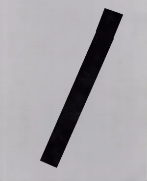 Shannon Ebner: Strike