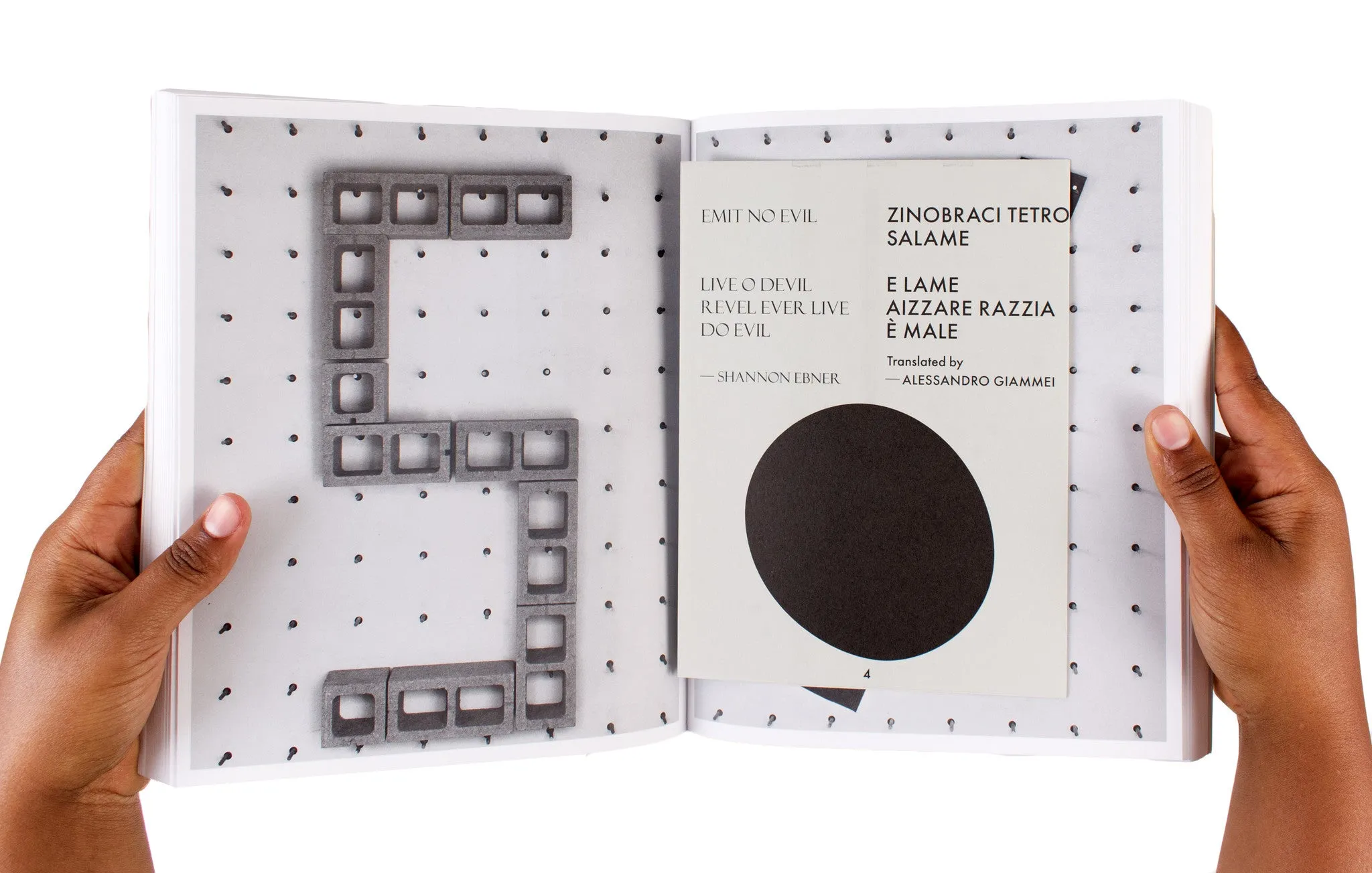 Shannon Ebner: Strike