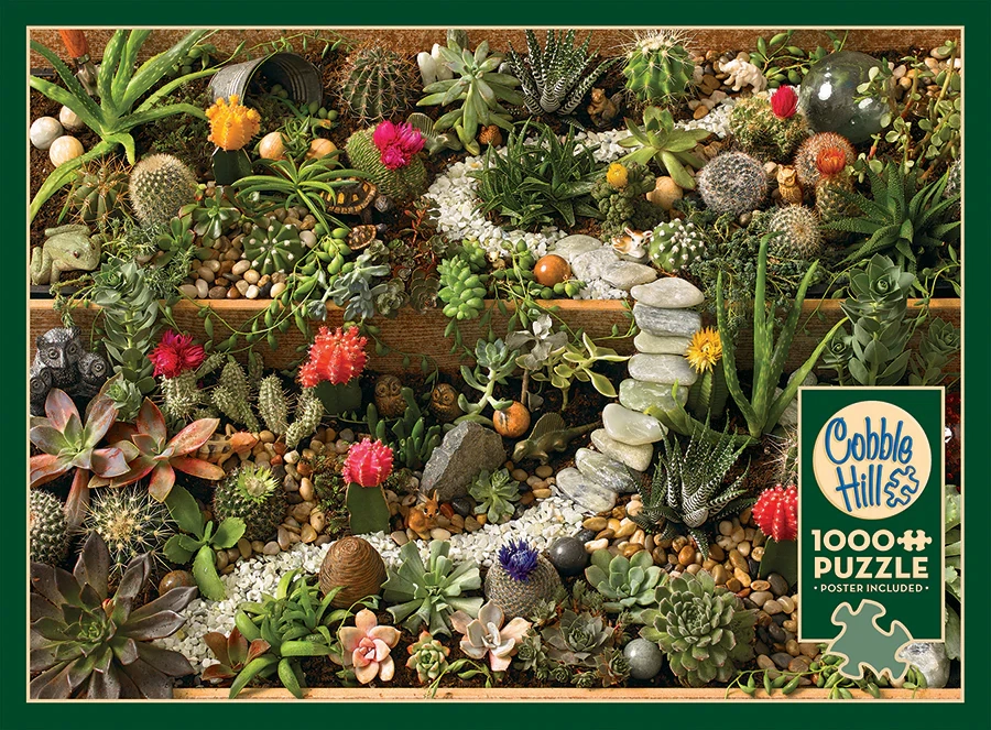 SUCCULENT GARDEN, 1000PCS, Compact