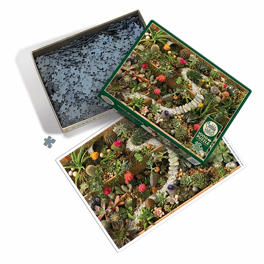 SUCCULENT GARDEN, 1000PCS, Compact
