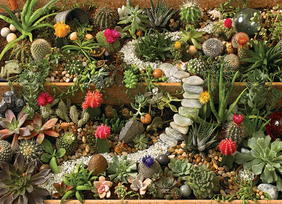 SUCCULENT GARDEN, 1000PCS, Compact