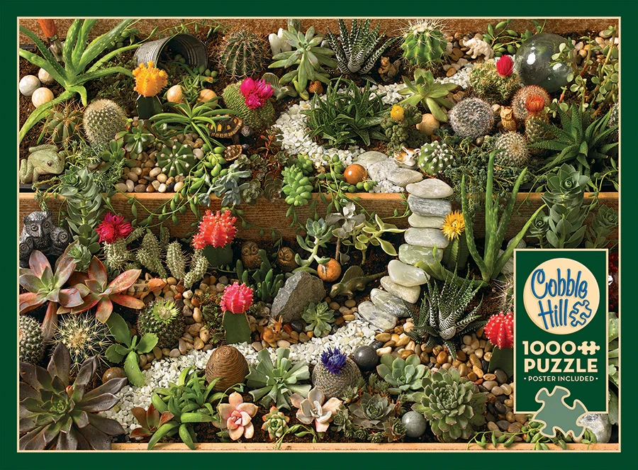 SUCCULENT GARDEN, 1000PCS, Compact