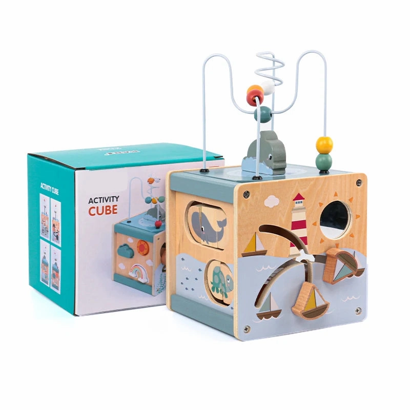 Wooden Maze Activity Cube