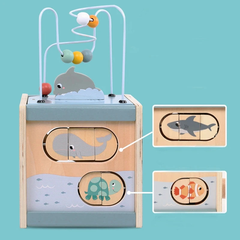 Wooden Maze Activity Cube