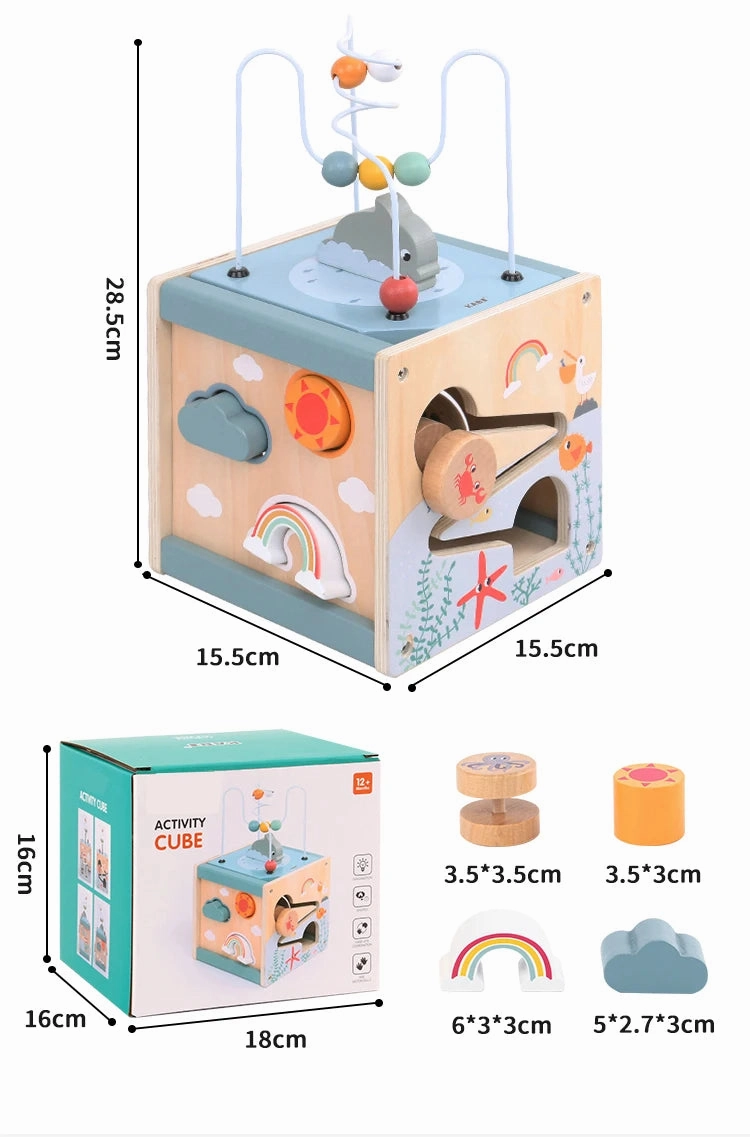 Wooden Maze Activity Cube